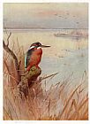 Archibald Thorburn Canvas Paintings - Frozen Out Fisherman